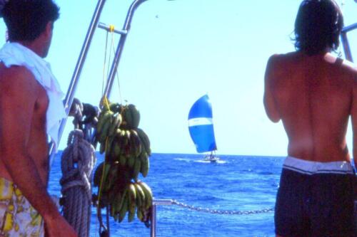 le-banane-appese-durante-la-regata-Panama---Galapagos-1994