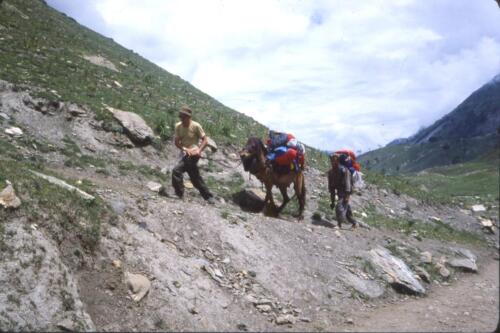 Sulla via di Amarnat