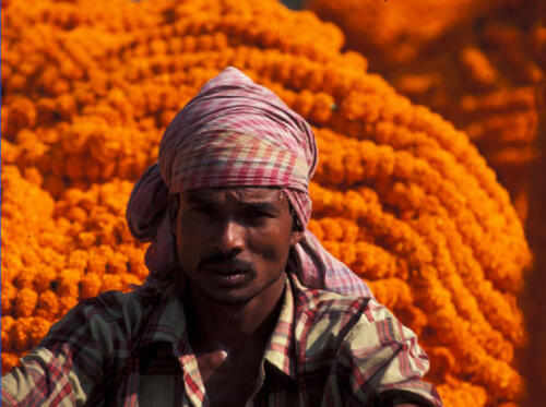india